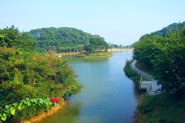 广州蜂道野战拓展基地